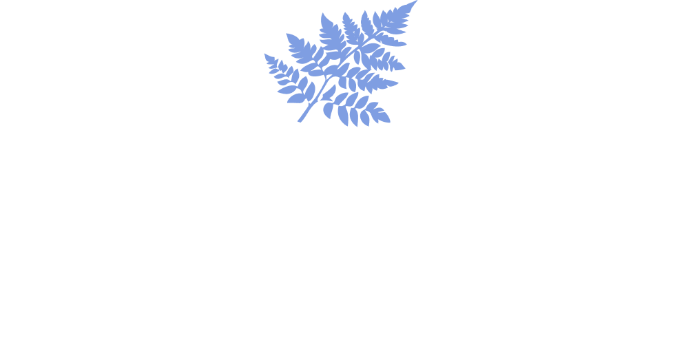 Felce Azzurra