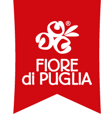 Fiore di Puglia
