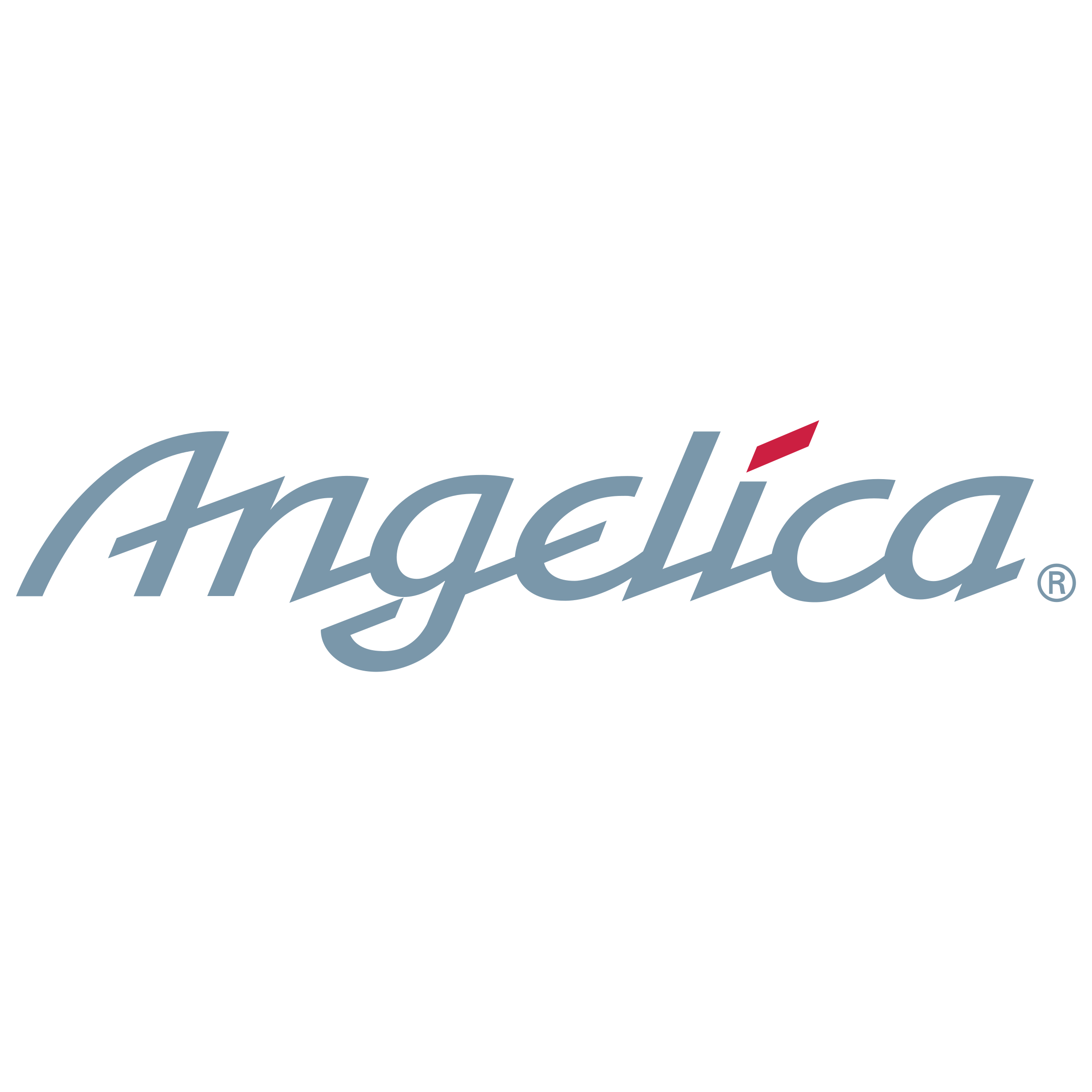 L'Angelica